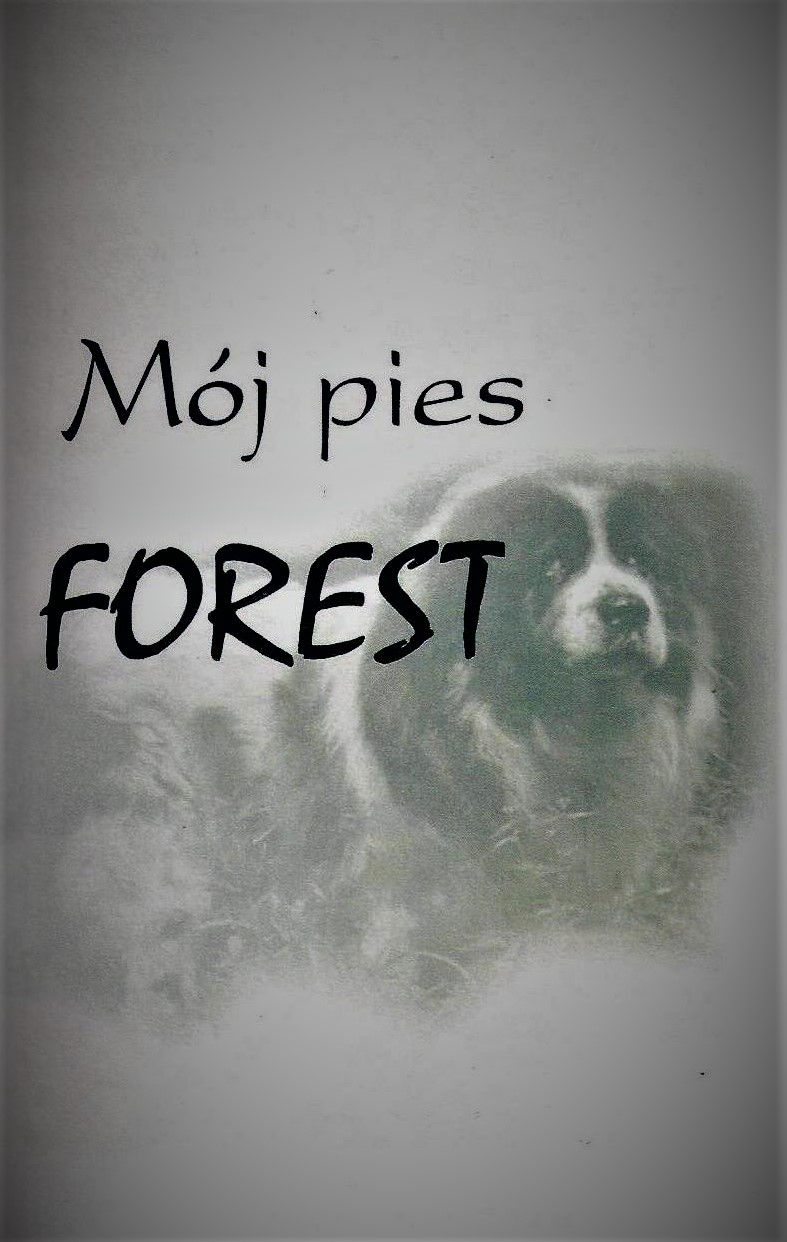 mój pies forestC0649DD5 B10D EB91 A608 BFC3A1233D3E