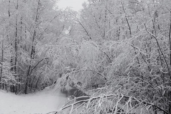 kwiecień-20211B0D7789-06F7-1E71-499F-527E03DF9DA5.jpeg